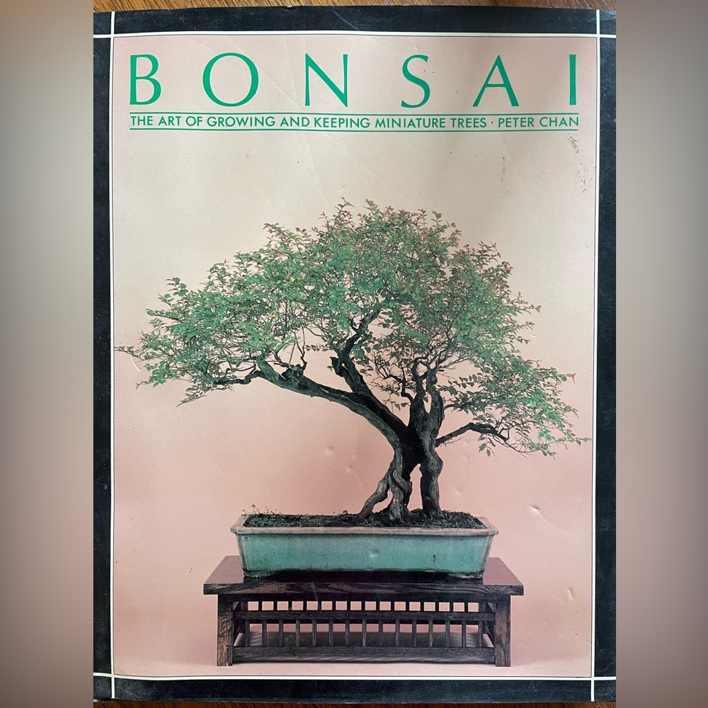 BONSAI The Art of Growing & Keeping Miniature Trees Large Hardcover Book